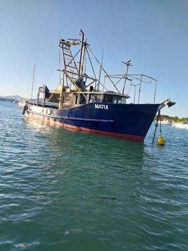the ill fated ferry (source www.dailypost.vu)